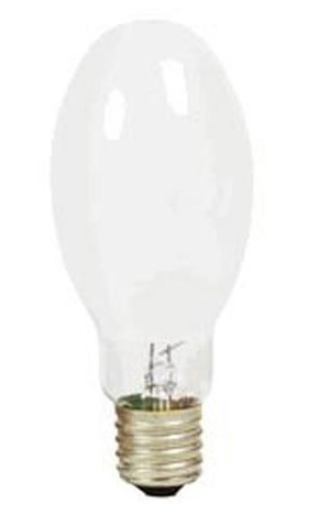 MV LAMP