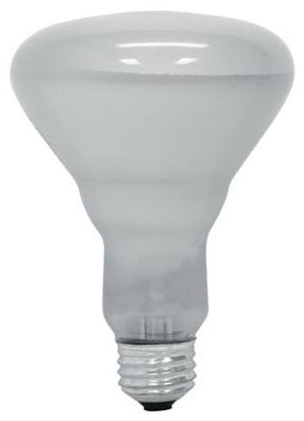 G-P 130V BULB