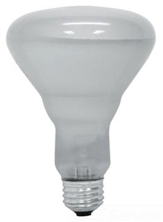 120V FLD LMP