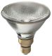 HAL LAMP