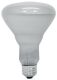 INCAND LAMP