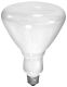 120V LAMP