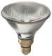 HAL LAMP