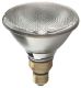 HAL LAMP
