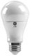 19W LED LMP
