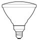 HAL LAMP