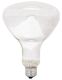 120V R40 INFRARED