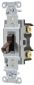 SWITCH 120 277V BROWN