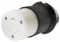 LKG CONN, 20A 125V, L5-20R, B/W