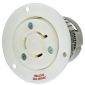 LKG FLG-RCPT, 20A 480V, L8-20R, WH