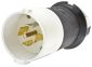 LKG S/SHRD PLUG, 20A 120/208V, L21-20P