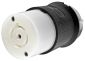CAT#HBL2513, FLAT CABLE MOD