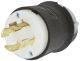 LKG PLUG, 30A 3P 600V, L17-30P, B/W