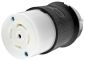 CAT#HBL2813, FLAT CABLE MOD