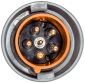 IEC,PLUG,3P4W, 100A 125/250V,4X/IP69,PIN