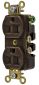 DUP RCPT, IND GRD, 15A 125V, 5-15R, BR