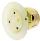 FLG-RCPT, 15A 250V, 6-15P, WH
