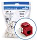 EXTREME CAT 6 UTP JACK 25PK, CRIMSON