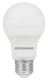 6W LED LAMP
