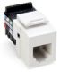 WH VOICE GRAD USOC JACK 6P6C