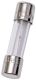 10A 250V GLASS FUS